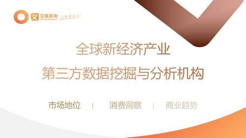 2023年中國信創(chuàng)產(chǎn)業(yè)發(fā)展白皮書 防雷器行業(yè)技術(shù)革新與市場前景